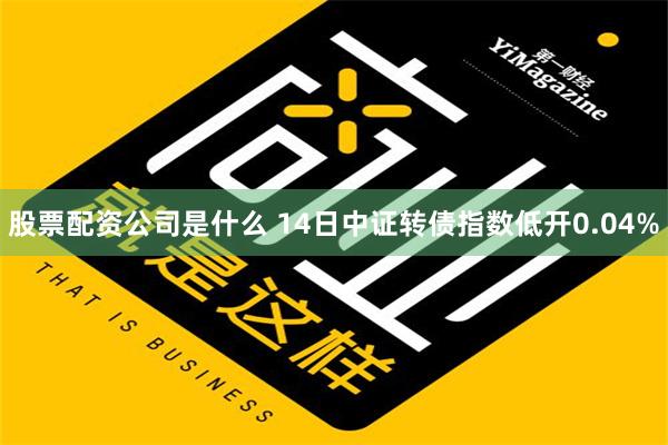 股票配资公司是什么 14日中证转债指数低开0.04%