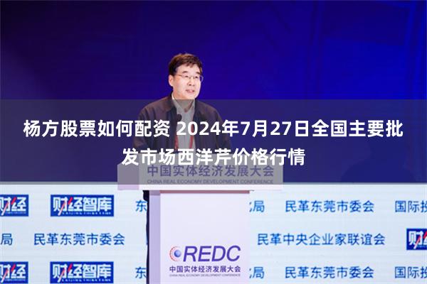 杨方股票如何配资 2024年7月27日全国主要批发市场西洋芹价格行情