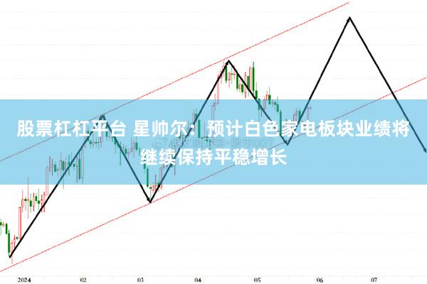 股票杠杠平台 星帅尔：预计白色家电板块业绩将继续保持平稳增长