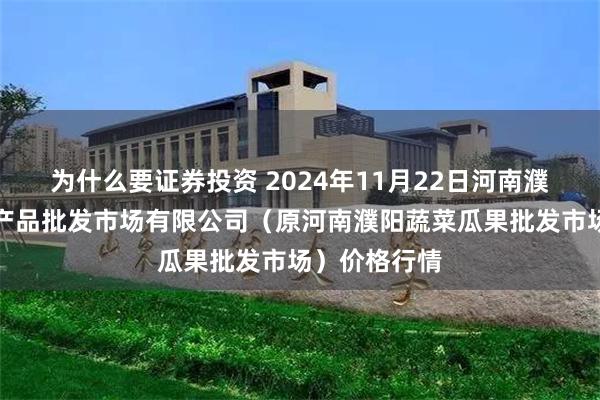 为什么要证券投资 2024年11月22日河南濮阳宏进农副产品批发市场有限公司（原河南濮阳蔬菜瓜果批发市场）价格行情