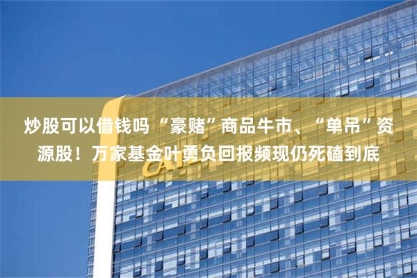 炒股可以借钱吗 “豪赌”商品牛市、“单吊”资源股！万家基金叶勇负回报频现仍死磕到底